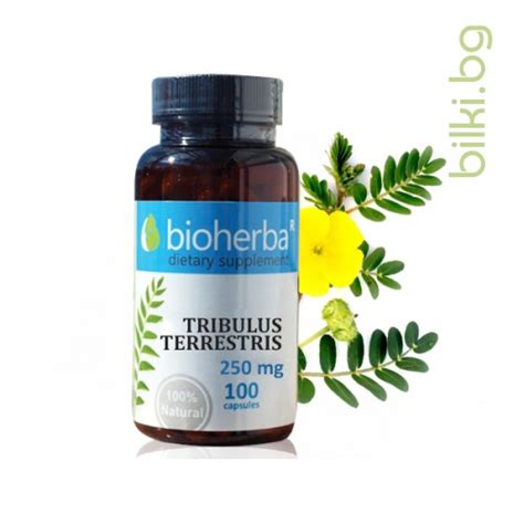 Бабини зъби, Трибулус, Биохерба, 100 капсули x 250мг, Tribulus ...