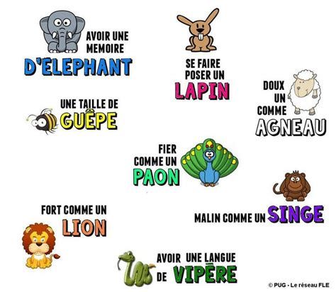 animaux french expressions french vocabulary idiomatic expressions