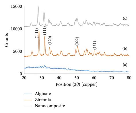 X Ray Diffraction Xrd Patterns Of Alginate Biopolymers A Zirconia