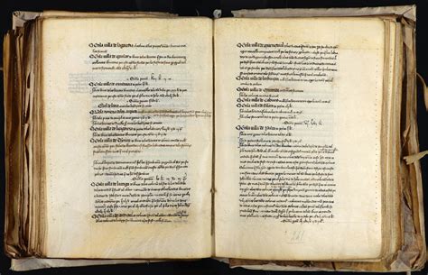 La peste negra regresa a Navarra en formato de microexposición