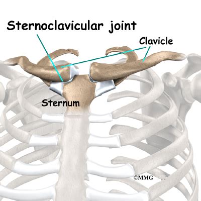 Clavicle Location