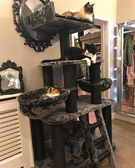 Cat Trees In Essex Free Delivery And Lowest Prices Cat Tree House Cat