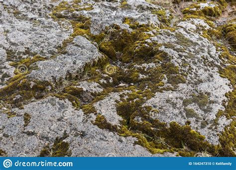 Gray Stones With Green Moss Texture Stock Photo Image Of Background