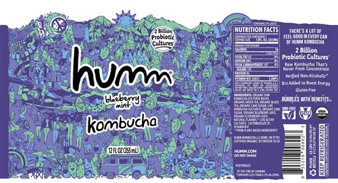 Humm Kombucha Blueberry Mint G008025 Grovara