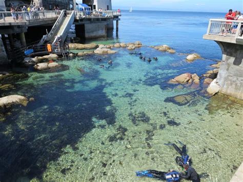 9 Amazing Places to Go Scuba Diving in California - California Crossroads