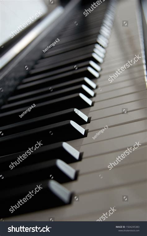 Classic Piano Keyboard Black White Stock Photo 1504245383 | Shutterstock