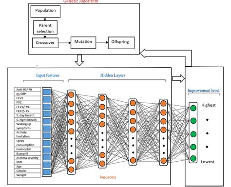 The Architecture Of The Genetic Algorithm Modified Neural Network