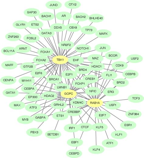 Figure 8 From Identification Of M6A Associated Autophagy Genes In Non