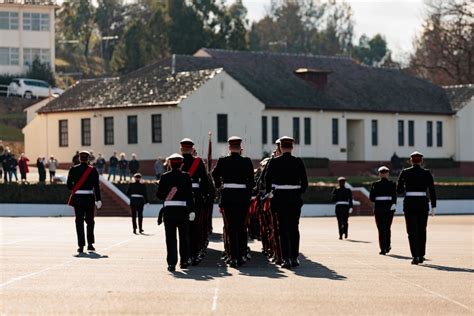 Sheep's blood provides rattlesnake anti-venom - ABC News