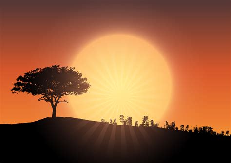Tree silhouette against sunset sky 267271 Vector Art at Vecteezy