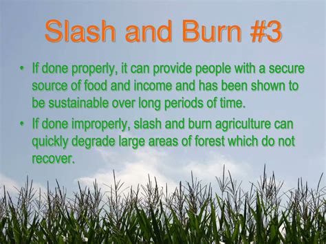 Ppt Slash And Burn Powerpoint Presentation Free Download Id2961568