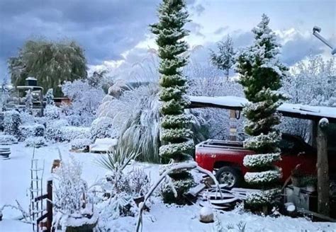 First winter storm of the season brings snow to northern Mexico