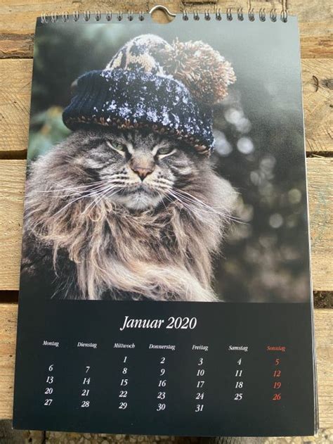 Louis Wildlife Calendar 2020 - cats4earth