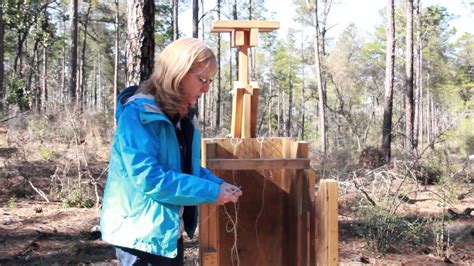 Pine Straw Baler Demonstration Youtube