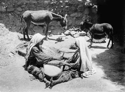 Fascinating Vintage Photographs of Bedouin People From the Late 19th ...