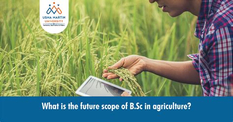 What Is The Future Scope Of B Sc In Agriculture