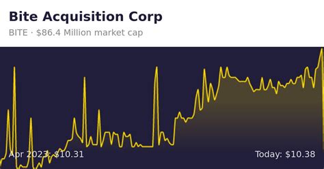 bite acquisition bite finance information