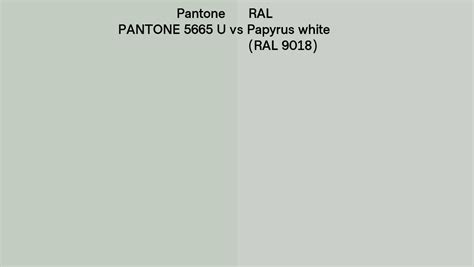 Pantone U Vs Ral Papyrus White Ral Side By Side Comparison