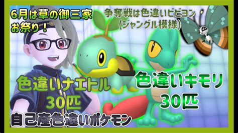 【ポケモンsv】自己産！色違いナエトル＆色違いキモリ計60匹配布！争奪戦は色違いビビヨンジャングル！【色違いポケモン配布】 Youtube