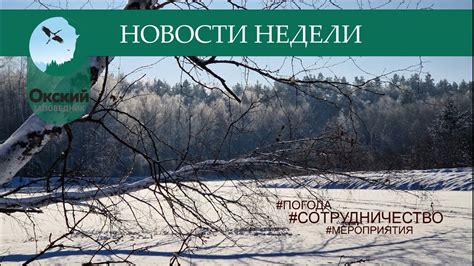Новости Окского заповедника - YouTube