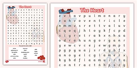 Ks Heart Word Search Science L Insegnante Ha Fatto