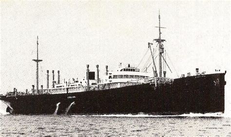 Miti E Tradizioni Ama Sirene Del Mare
