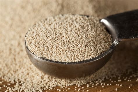 Винные дрожжи: как сделать, как применять и где купить