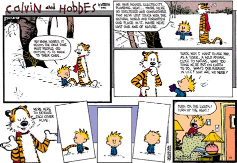 The 7 Best Calvin and Hobbes Strips - Popdust