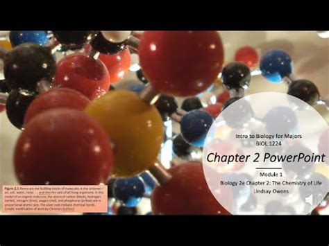 Biol Chapter Ppt Youtube