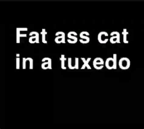 Fat Ass Cat In A Tuxedo Fat Ass Cat In A Tuxedo IFunny