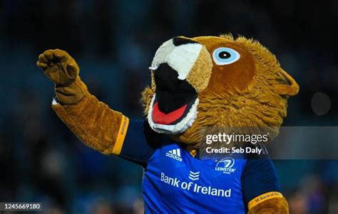 Eire Mascot Photos and Premium High Res Pictures - Getty Images