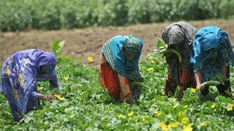 Des ouvrières agricoles sollicitent le soutien de la société civile