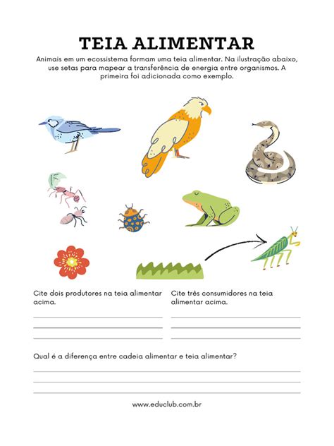 Atividade Teia Alimentar 4 Ano - Atividade Teia Alimentar 4 Ano | PDF