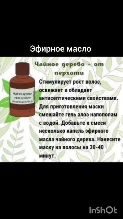 ,, Чайное дерево ,, от перхоти эфирное масло ; ) - YouTube