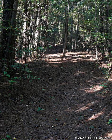 Shiloh National Military Park Corinth Unit Confederate Siege Lines