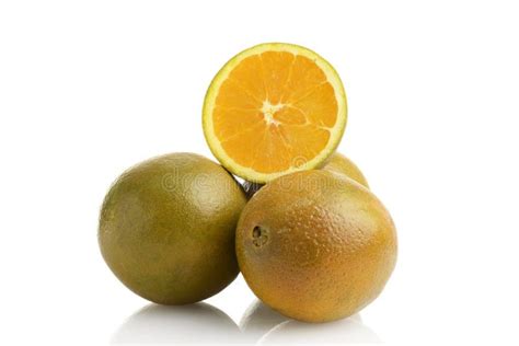 Fresh Chocolate Oranges On White Stock Photo Image Of Organic Food