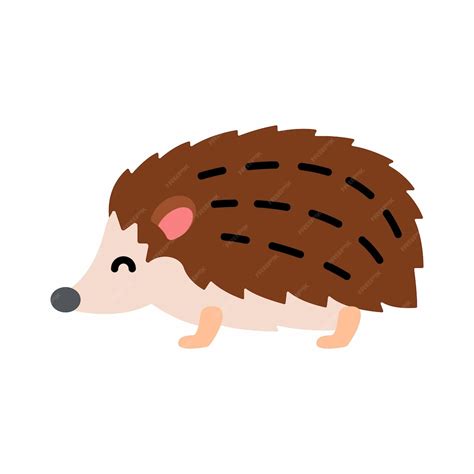 Premium Vector Cute Little Baby Hedgehog Funny Smiling Animal
