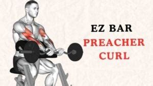 Ez Bar Preacher Curl: How To Do