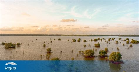 Las Inundaciones En Paraguay Provocan Más De 40 000 Desplazados Iagua