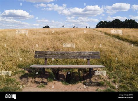 An Empty Park Bench Is Seen In A Parched Landscape In Hampstead Heath As Hot Weather And Drought