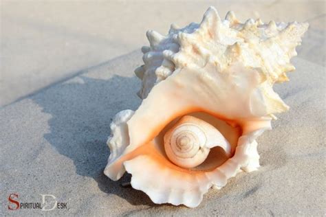 What Is The Spiritual Meaning Of A Conch Shell Protection