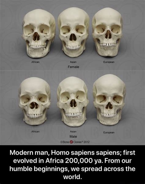 humble beginnings  spread   world modern man