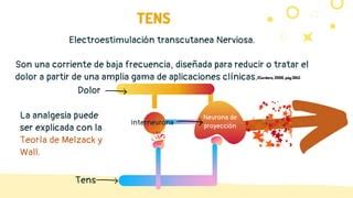 Tens Y Tipos De Tens Ppt