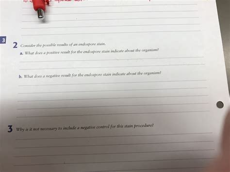 Solved Consider the possible results of an endospore stain. | Chegg.com