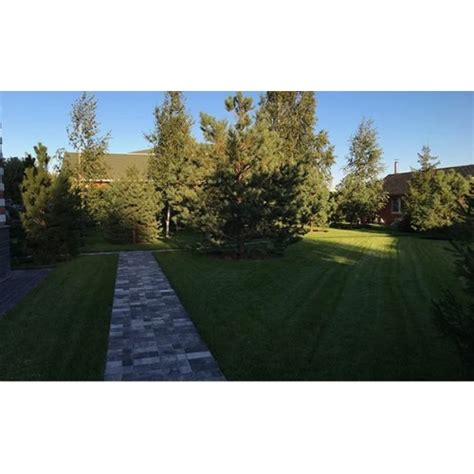 Семена газона в мешках по 10 кг