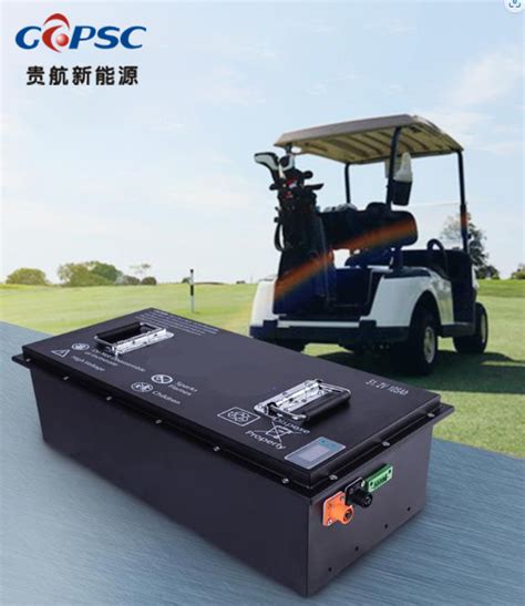 48v Lithium Ion Golf Car Battery 48v 40ah 80ah 100ah Lifepo4 Golf Cart Battery Pack With Bms