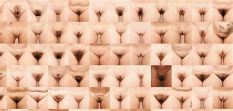 Types Of Pussy 59 Photos Sex Pics