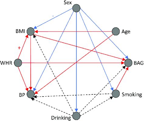 Bayesian Network Structure Directed Acyclic Graph And Conditional