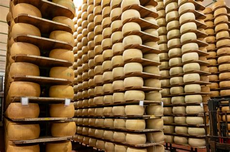 hard cheese