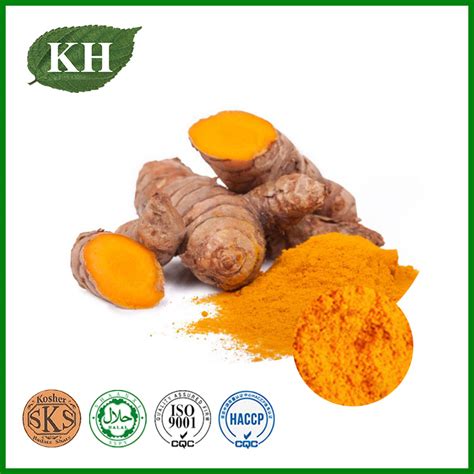 100% Organic Natural Turmeric Root Extract 95% Curcumin - Turmeric ...